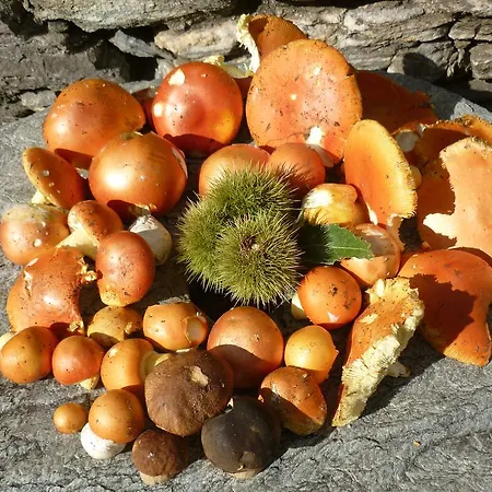 Ferienhaus Casa Valentini Quercitello