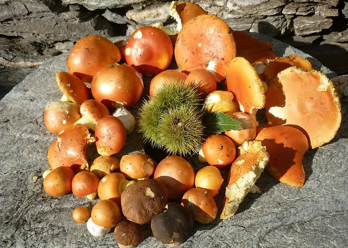 Holiday home Casa Valentini Quercitello